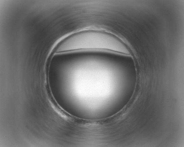 X0000082940838200702011110