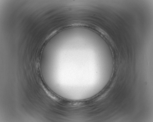 X0000082940841200702011110