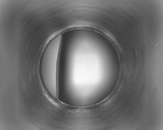 X0000082940842200702011110