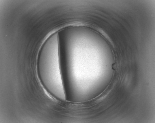 X0000082940845200702011110
