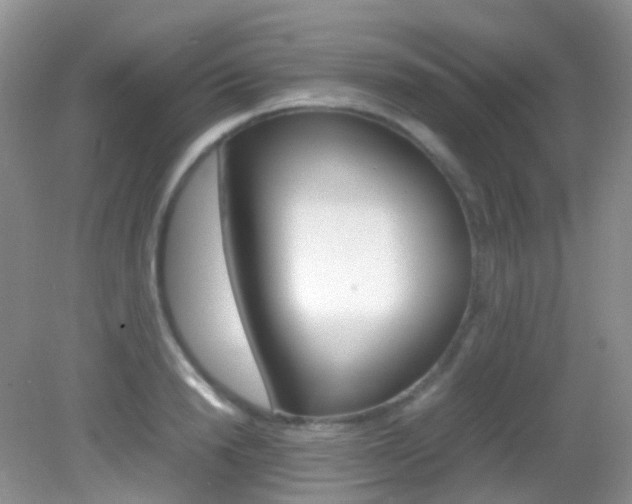 X0000082940846200702011110