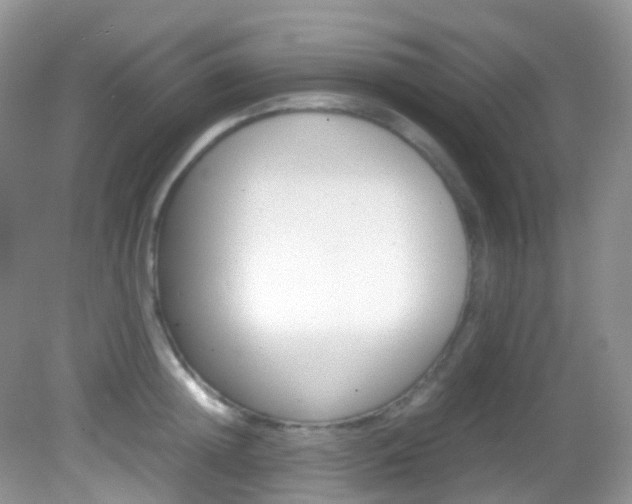 X0000082940852200702011110