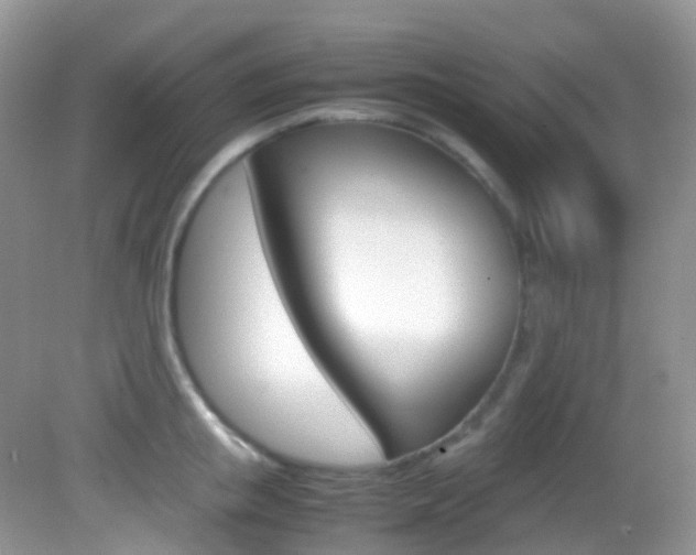 X0000082940853200702011110