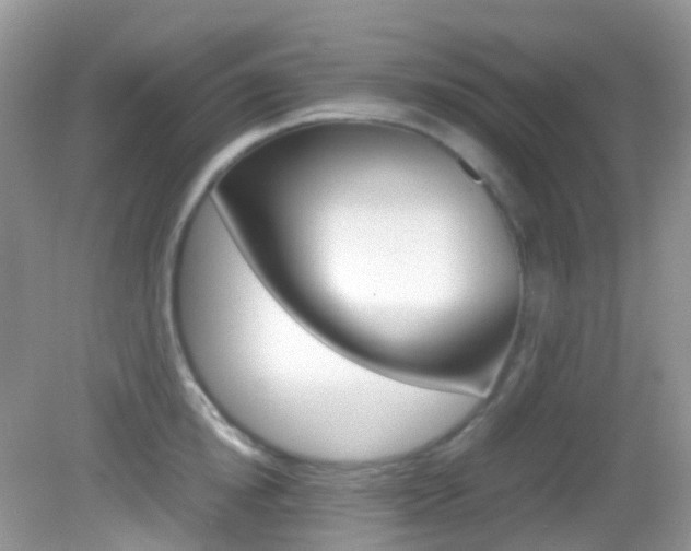 X0000082940854200702011110