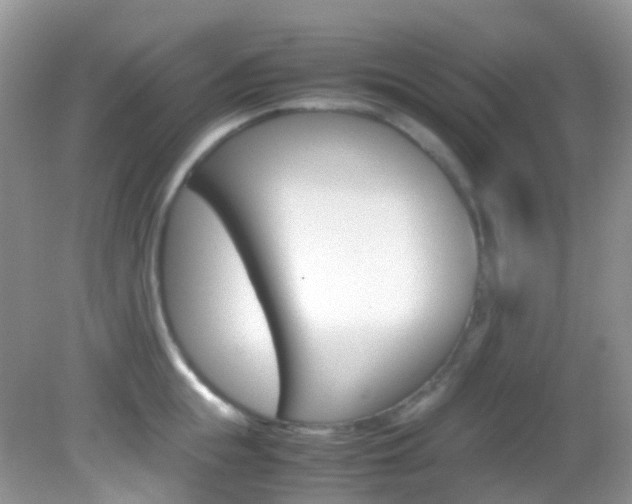 X0000082940855200702011110