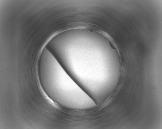 X0000082940859200702011110