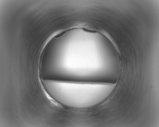 X0000082940861200702011110