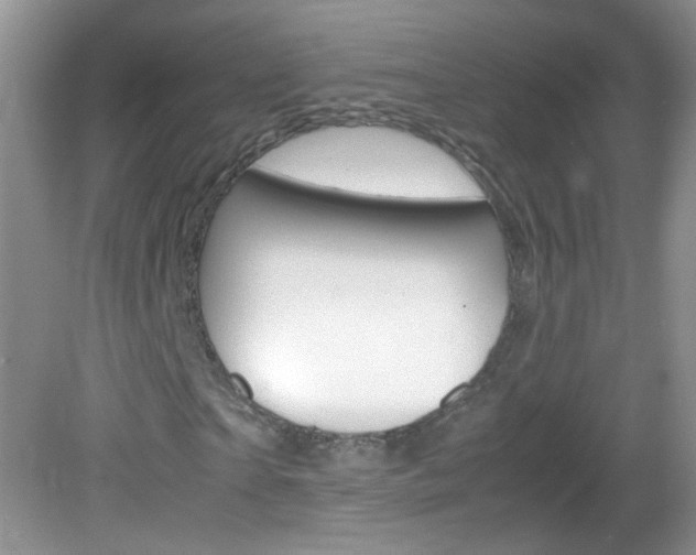 X0000082940865200702011109