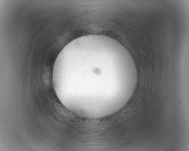 X0000082940866200702011109
