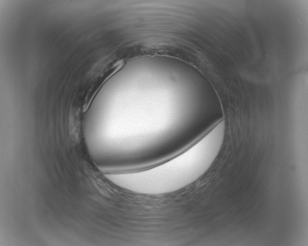 X0000082940868200702011109