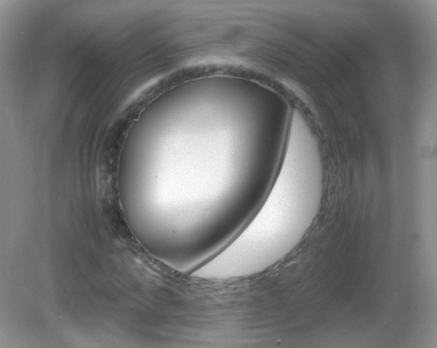 X0000082940872200702011109