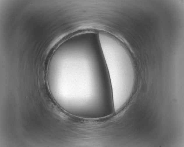 X0000082940877200702011109