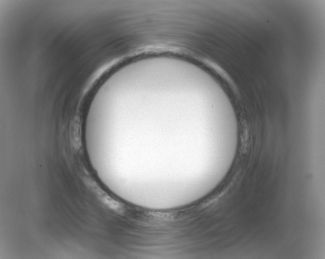 X0000082940878200702011109