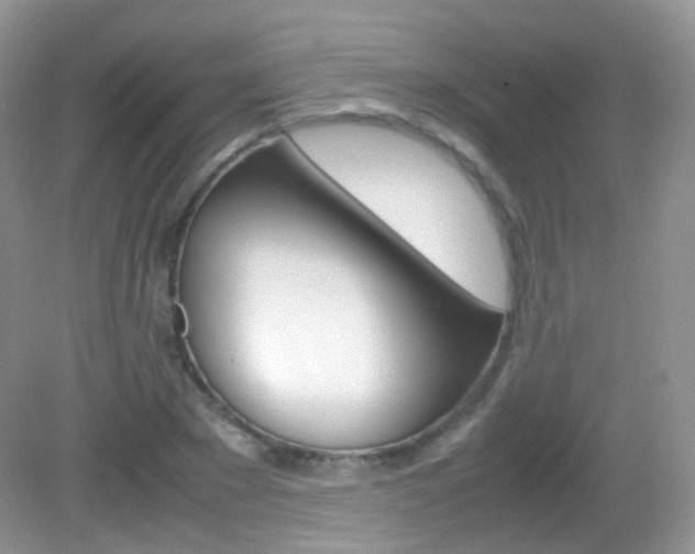 X0000082940881200702011109