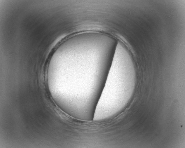X0000082940883200702011109