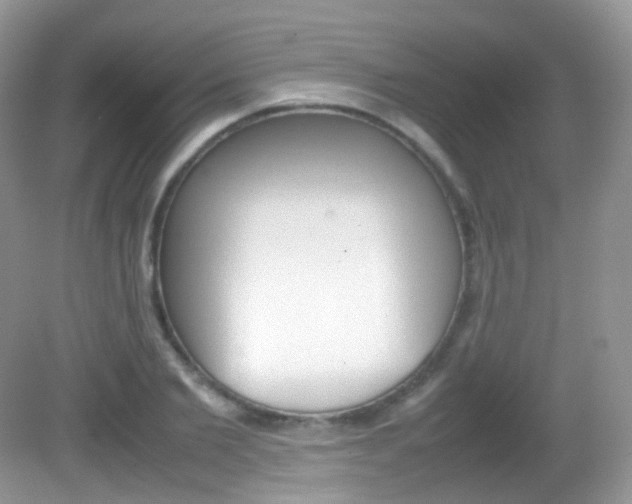 X0000082940885200702011109