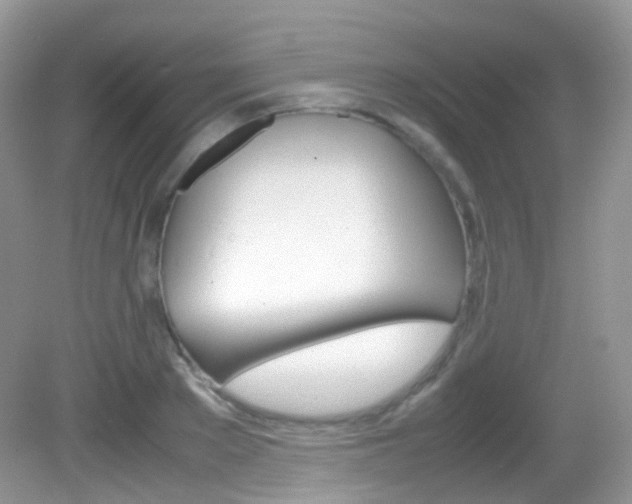 X0000082940889200702011109