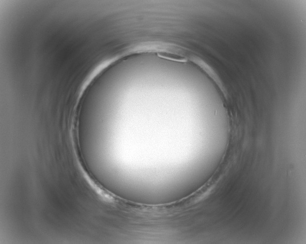 X0000082940901200702011109
