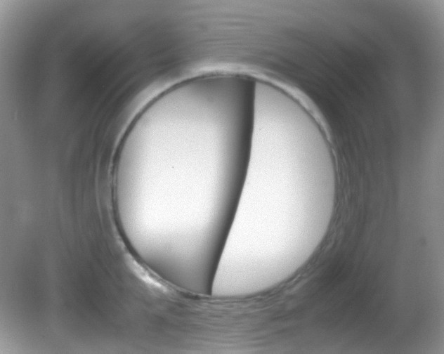 X0000082940903200702011109