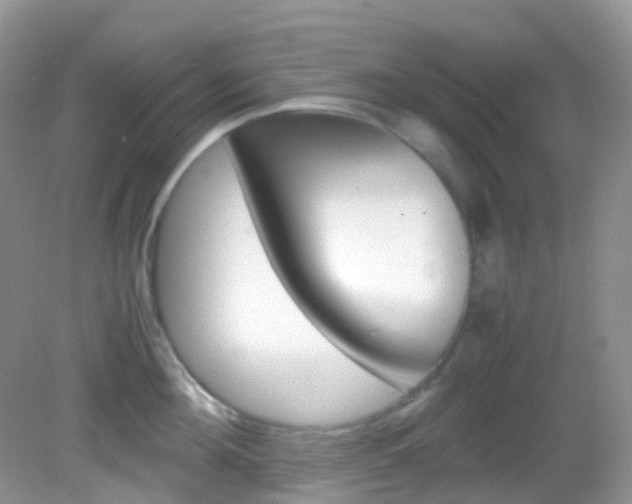 X0000082940908200702011109