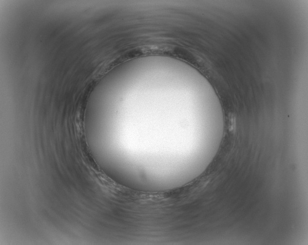 X0000082940915200702011108