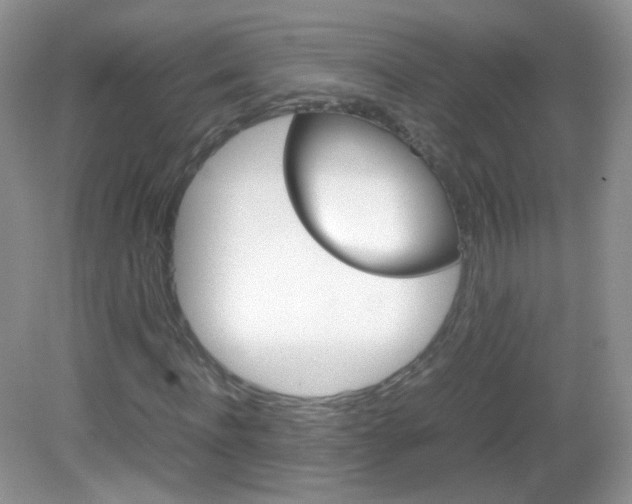 X0000082940916200702011108