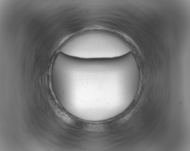 X0000082940921200702011108
