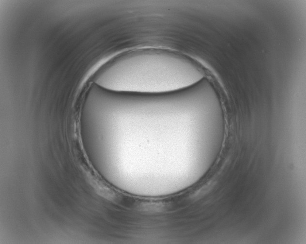 X0000082940925200702011108