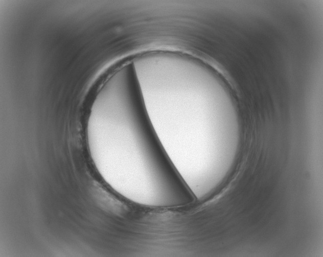 X0000082940926200702011108