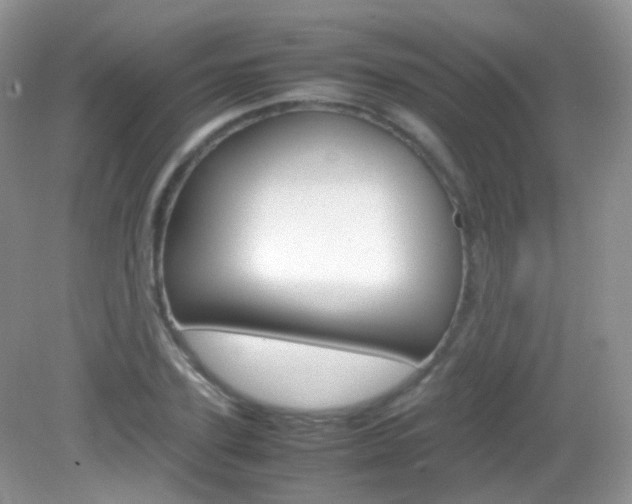 X0000082940931200702011108