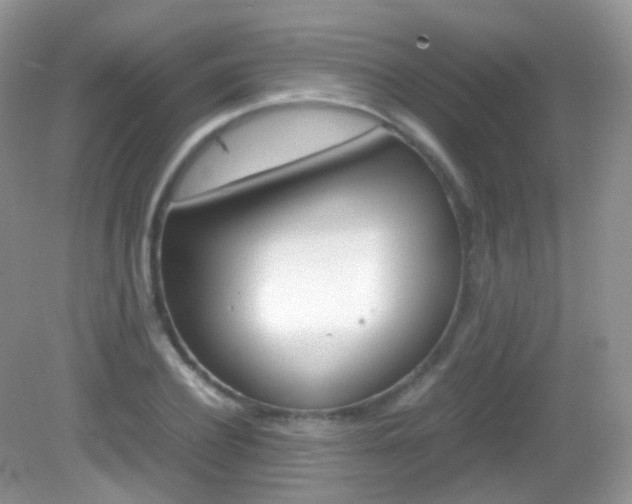 X0000082940932200702011108