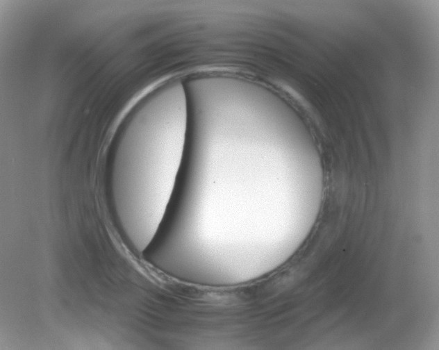 X0000082940933200702011108