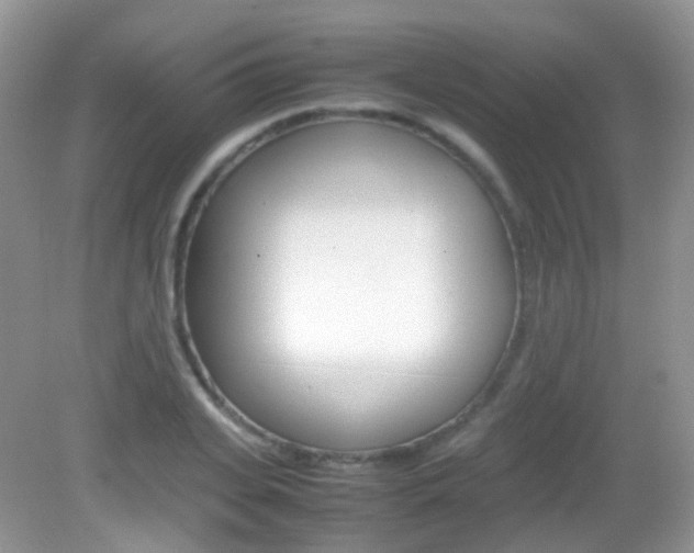 X0000082940935200702011108
