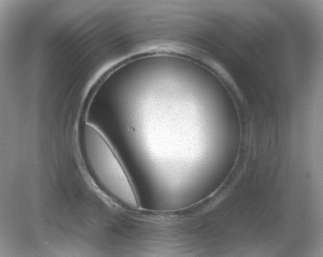 X0000082940936200702011108