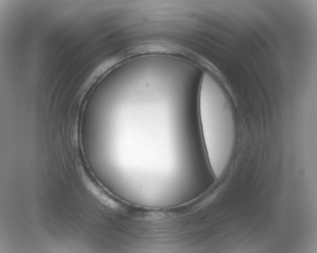 X0000082940938200702011108