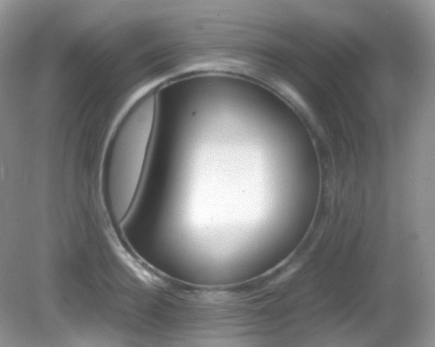 X0000082940940200702011108
