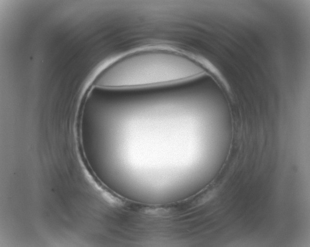 X0000082940943200702011108