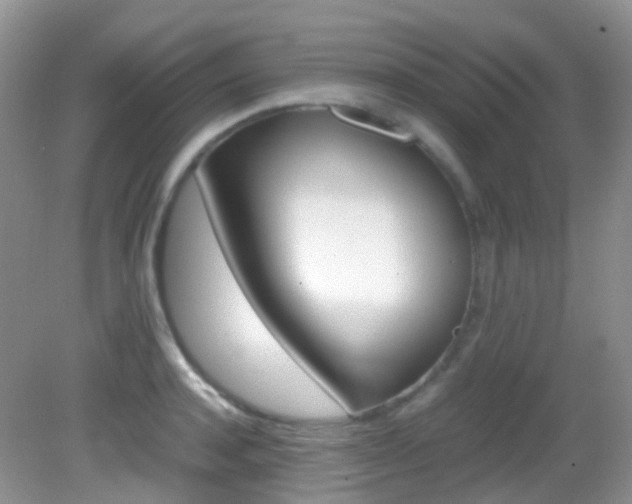 X0000082940944200702011108
