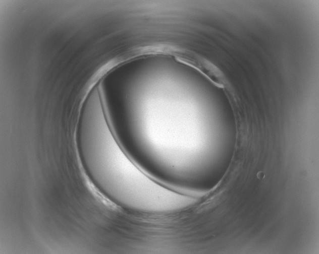 X0000082940946200702011108