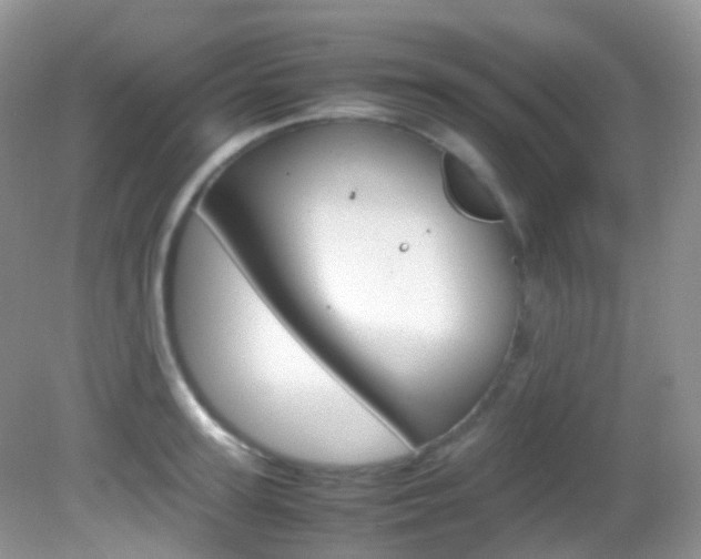 X0000082940947200702011108