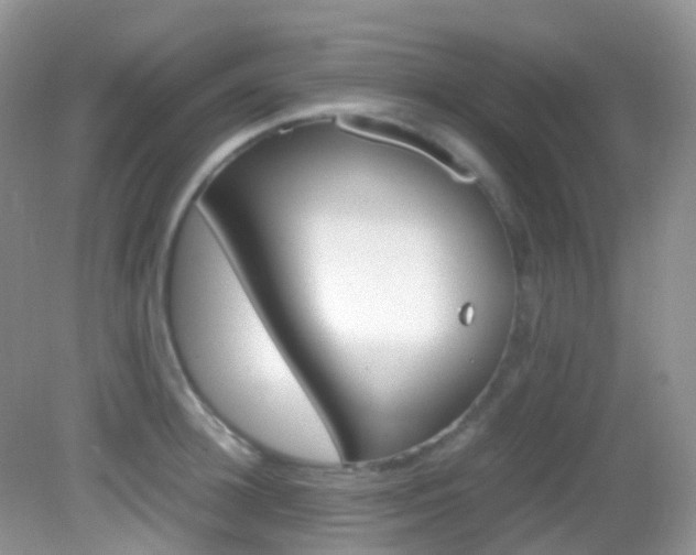 X0000082940948200702011108