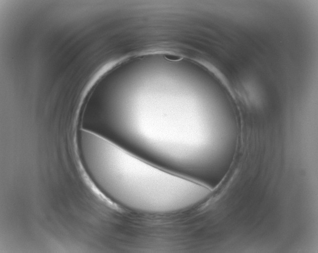 X0000082940949200702011108