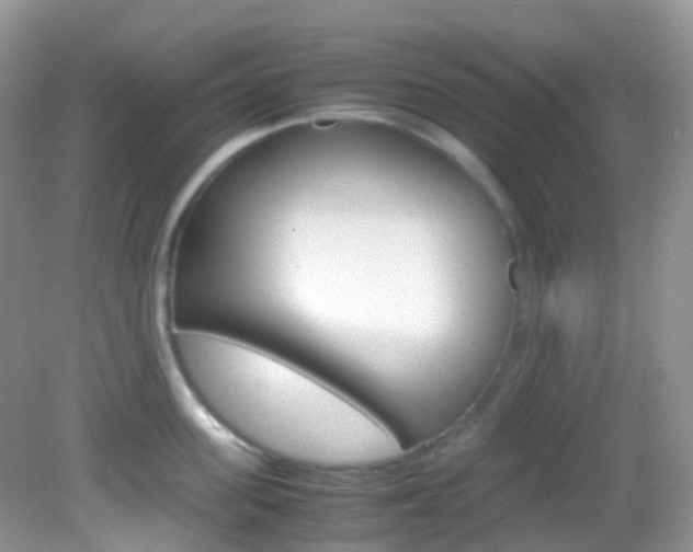 X0000082940955200702011108