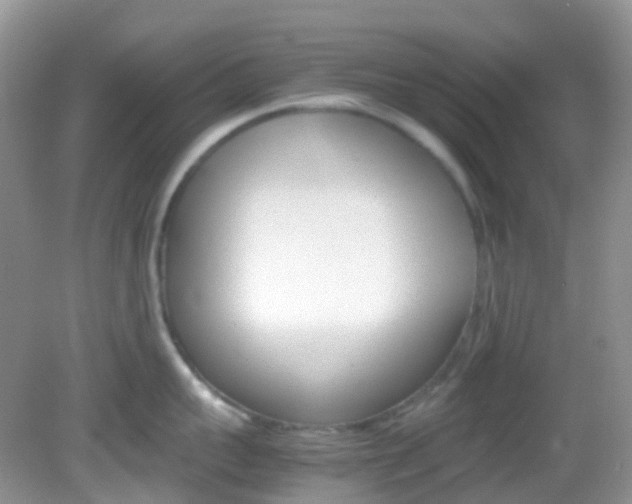 X0000082940959200702011109