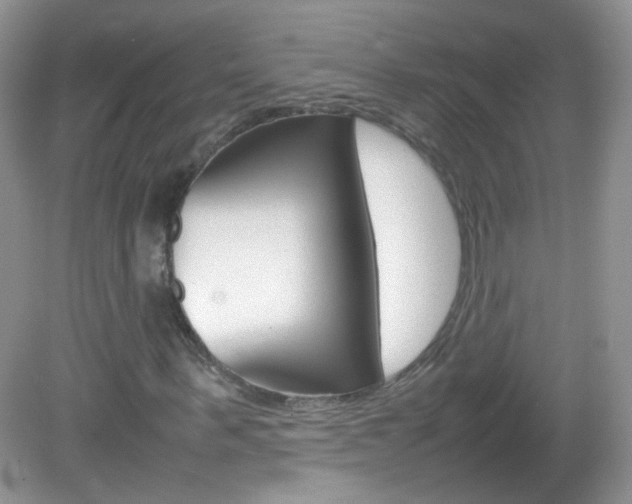 X0000082940963200702011108