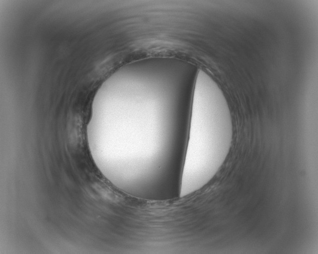 X0000082940964200702011108