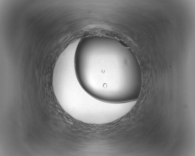 X0000082940965200702011108
