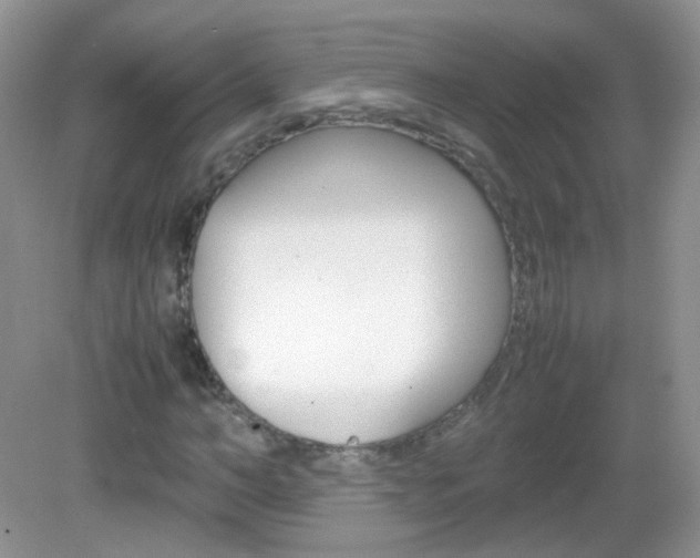 X0000082940966200702011108
