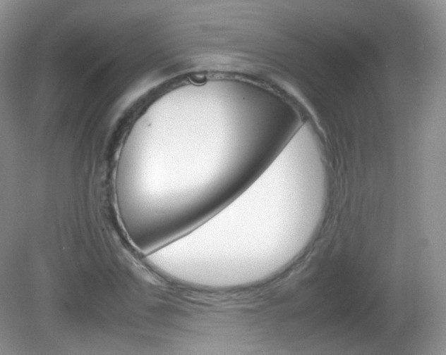 X0000082940971200702011108