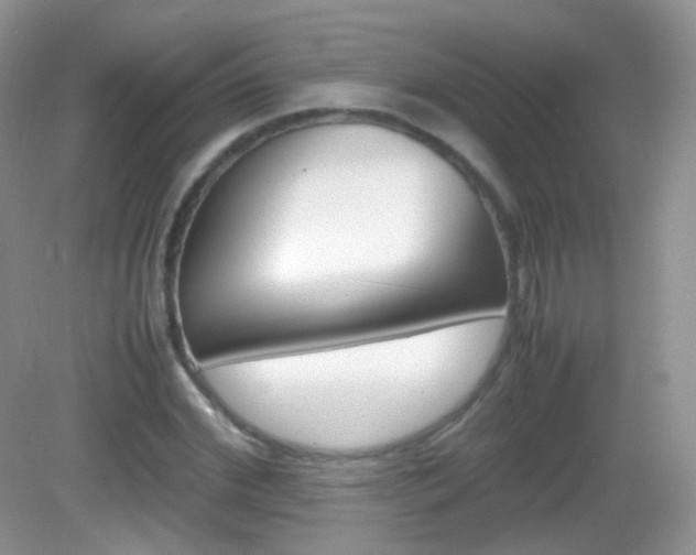 X0000082940972200702011108